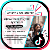 TikTok Followers